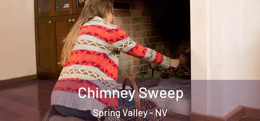 Chimney Sweep Spring Valley - NV