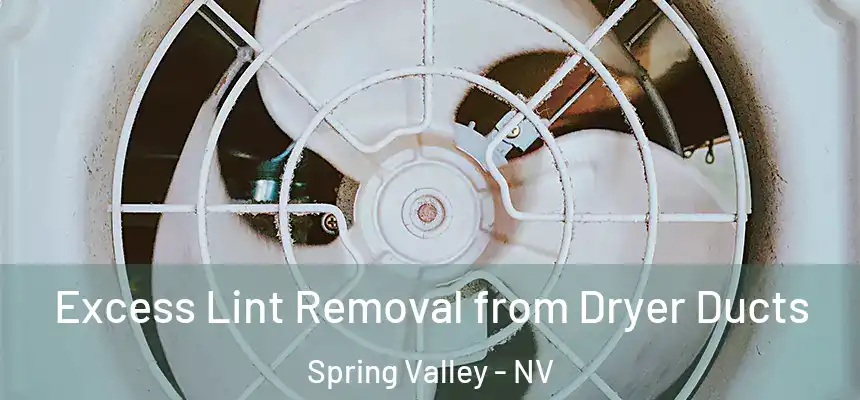  Excess Lint Removal from Dryer Ducts Spring Valley - NV