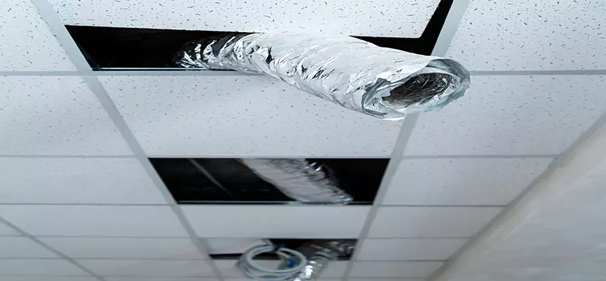 Our Air Duct Pet Hair Removal Services in Spring Valley, NV