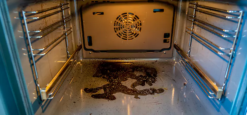 Our Dryer Vent Mold Cleaning Services in Spring Valley, NV