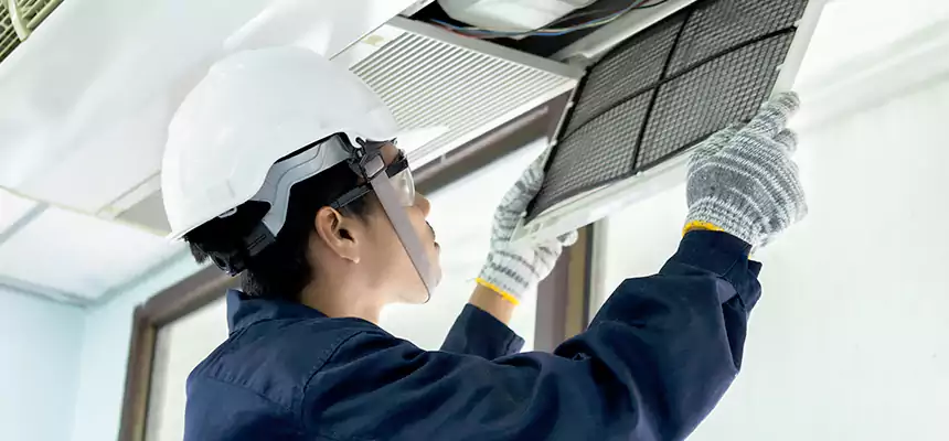 Our Mold & Mildew Removal from Air Ducts Services in Spring Valley, NV