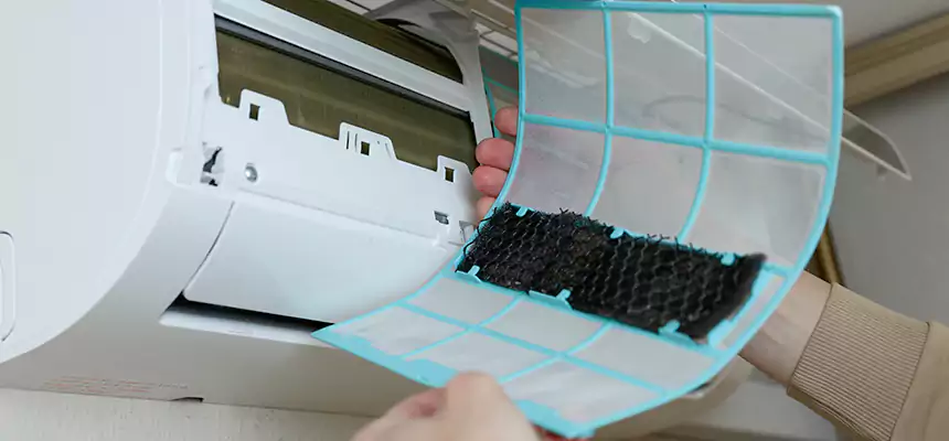 Gentle Ductwork Odor-Control Pet Dander Duct Cleaning in Spring Valley, NV