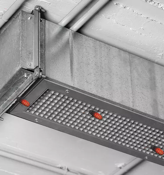 About Air Duct Cockroach Removal in Spring Valley, NV