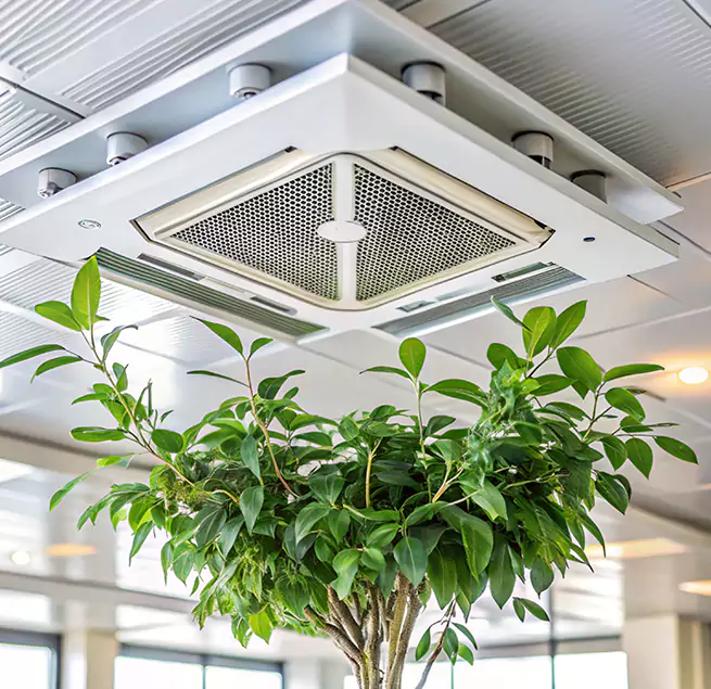 Why Homeowners & Businesses Trust Us in Spring Valley, NV?